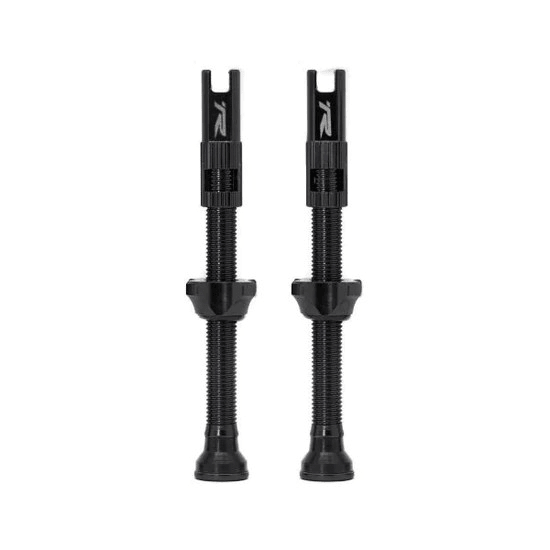 Ryder RVC tubeless valve set in Black - product view